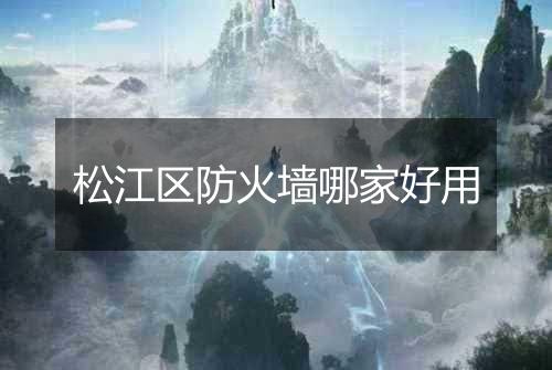 松江区防火墙哪家好用