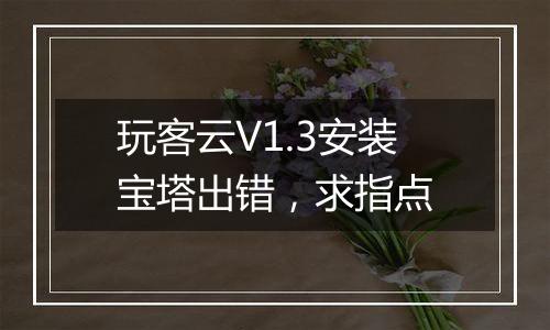 玩客云V1.3安装宝塔出错,求指点