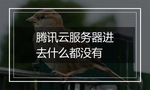腾讯云服务器进去什么都没有