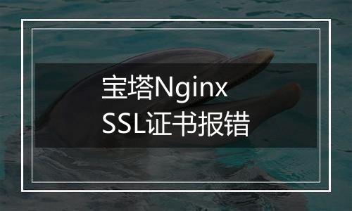 宝塔Nginx SSL证书报错