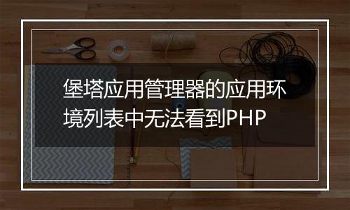 堡塔应用管理器的应用环境列表中无法看到PHP