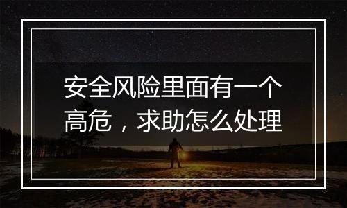 安全风险里面有一个高危,求助怎么处理