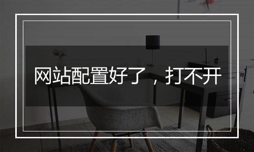 网站配置好了,打不开