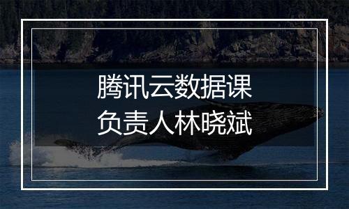 腾讯云数据课负责人林晓斌