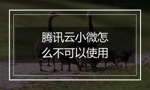 腾讯云小微怎么不可以使用
