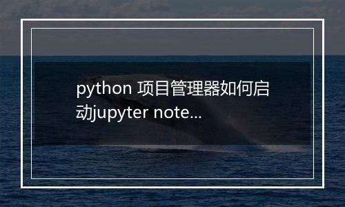 python 项目管理器如何启动jupyter notebook
