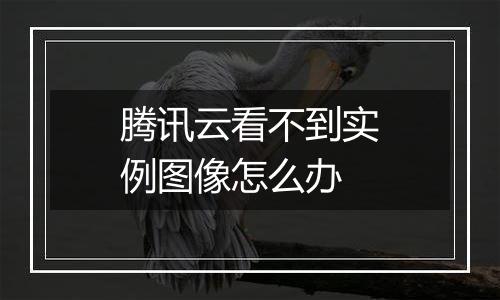 腾讯云看不到实例图像怎么办