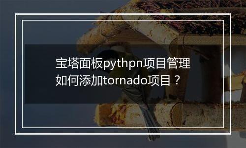 宝塔面板pythpn项目管理如何添加tornado项目?