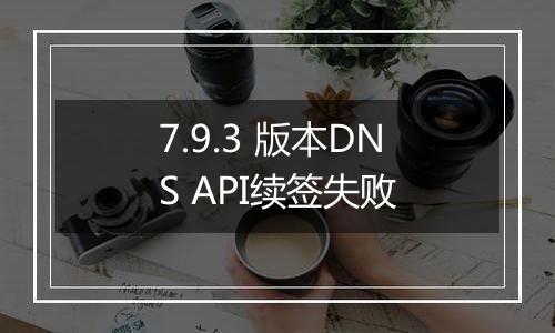 7.9.3 版本DNS API续签失败