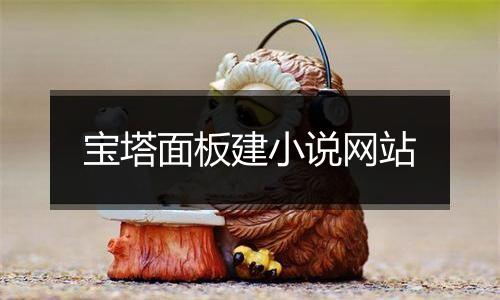 宝塔面板建小说网站