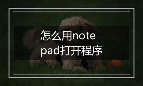 怎么用notepad打开程序