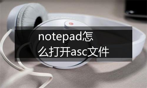 notepad怎么打开asc文件