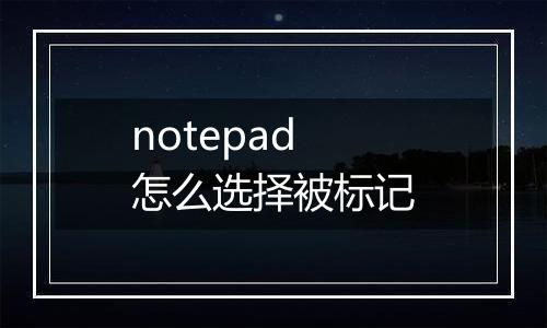 notepad怎么选择被标记