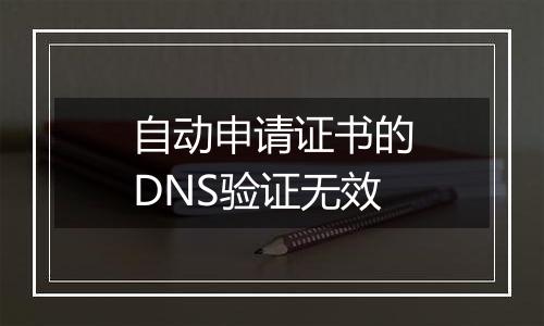 自动申请证书的DNS验证无效