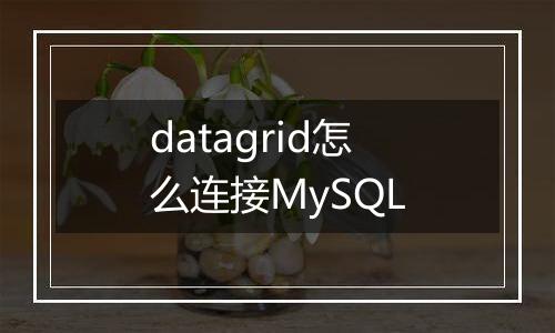 datagrid怎么连接MySQL