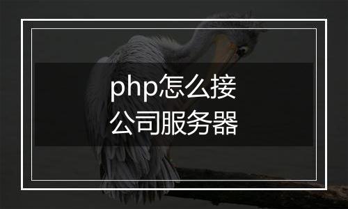 php怎么接公司服务器