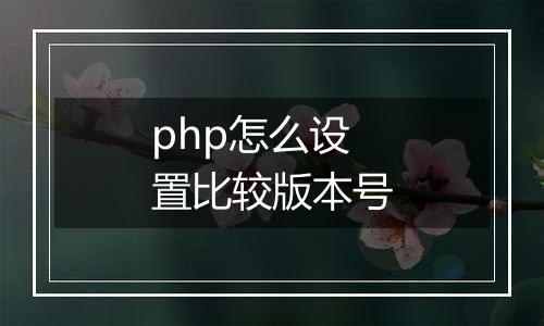 php怎么设置比较版本号