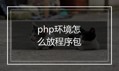 php环境怎么放程序包