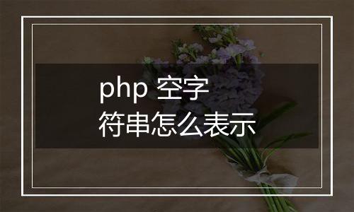 php 空字符串怎么表示
