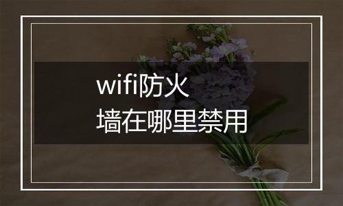 wifi防火墙在哪里禁用