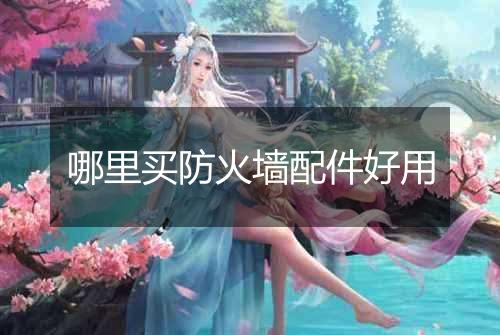 哪里买防火墙配件好用