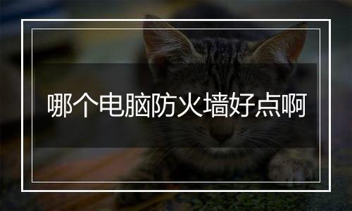 哪个电脑防火墙好点啊