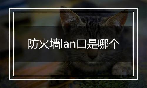 防火墙lan口是哪个