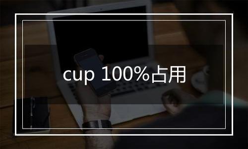cup 100%占用