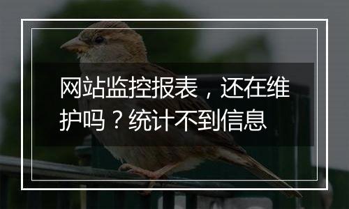 网站监控报表,还在维护吗?统计不到信息
