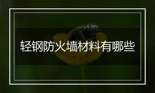 轻钢防火墙材料有哪些