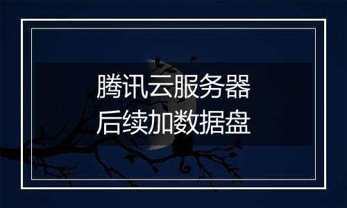 腾讯云服务器后续加数据盘