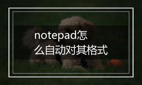 notepad怎么自动对其格式