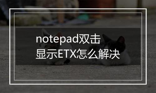 notepad双击显示ETX怎么解决