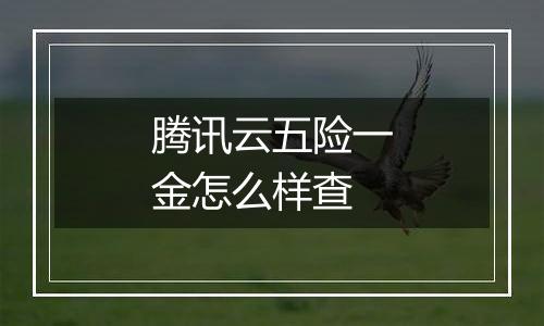 腾讯云五险一金怎么样查