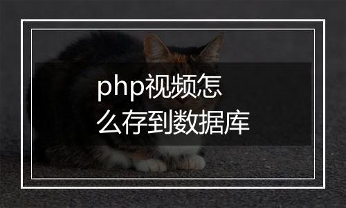 php视频怎么存到数据库