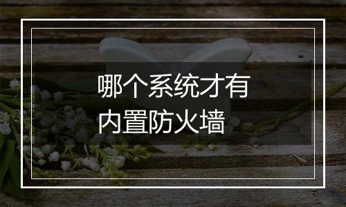 哪个系统才有内置防火墙