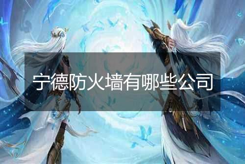 宁德防火墙有哪些公司