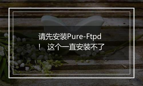 请先安装Pure-Ftpd!   这个一直安装不了