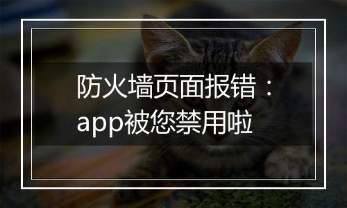 防火墙页面报错：app被您禁用啦