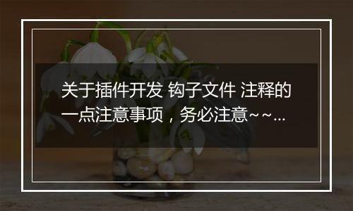 关于插件开发 钩子文件 注释的一点注意事项,务必注意~~~