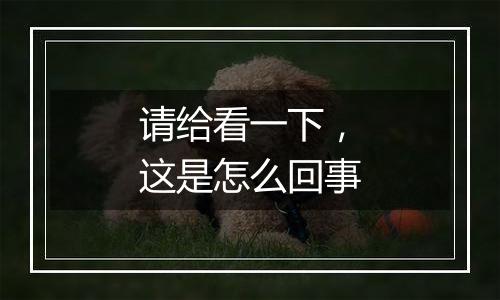请给看一下,这是怎么回事