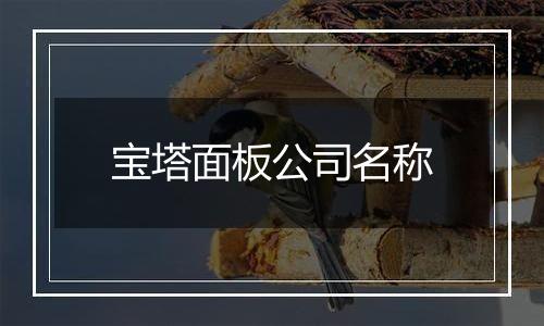 宝塔面板公司名称