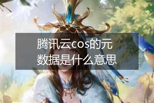 腾讯云cos的元数据是什么意思