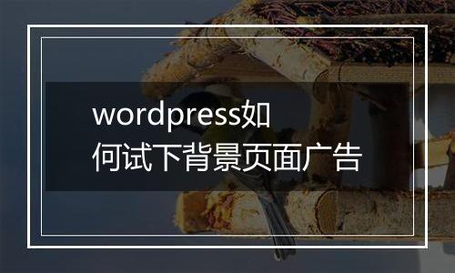 wordpress如何试下背景页面广告