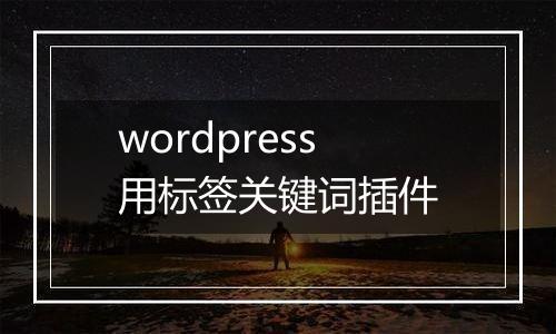 wordpress用标签关键词插件