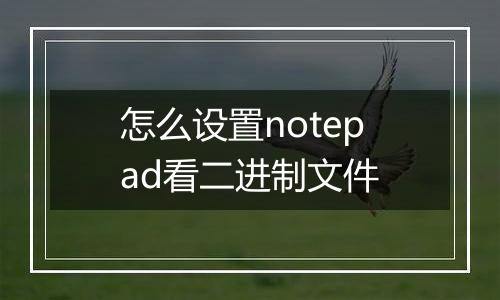 怎么设置notepad看二进制文件