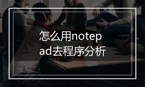 怎么用notepad去程序分析