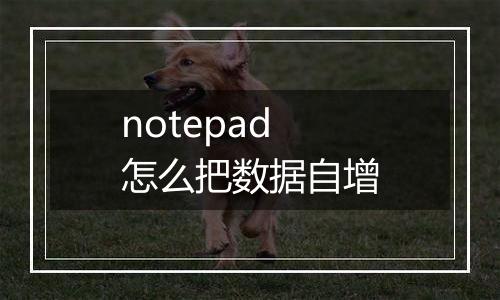 notepad怎么把数据自增