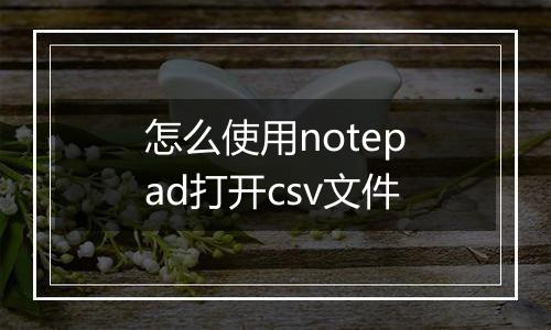 怎么使用notepad打开csv文件