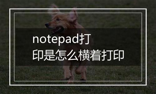 notepad打印是怎么横着打印